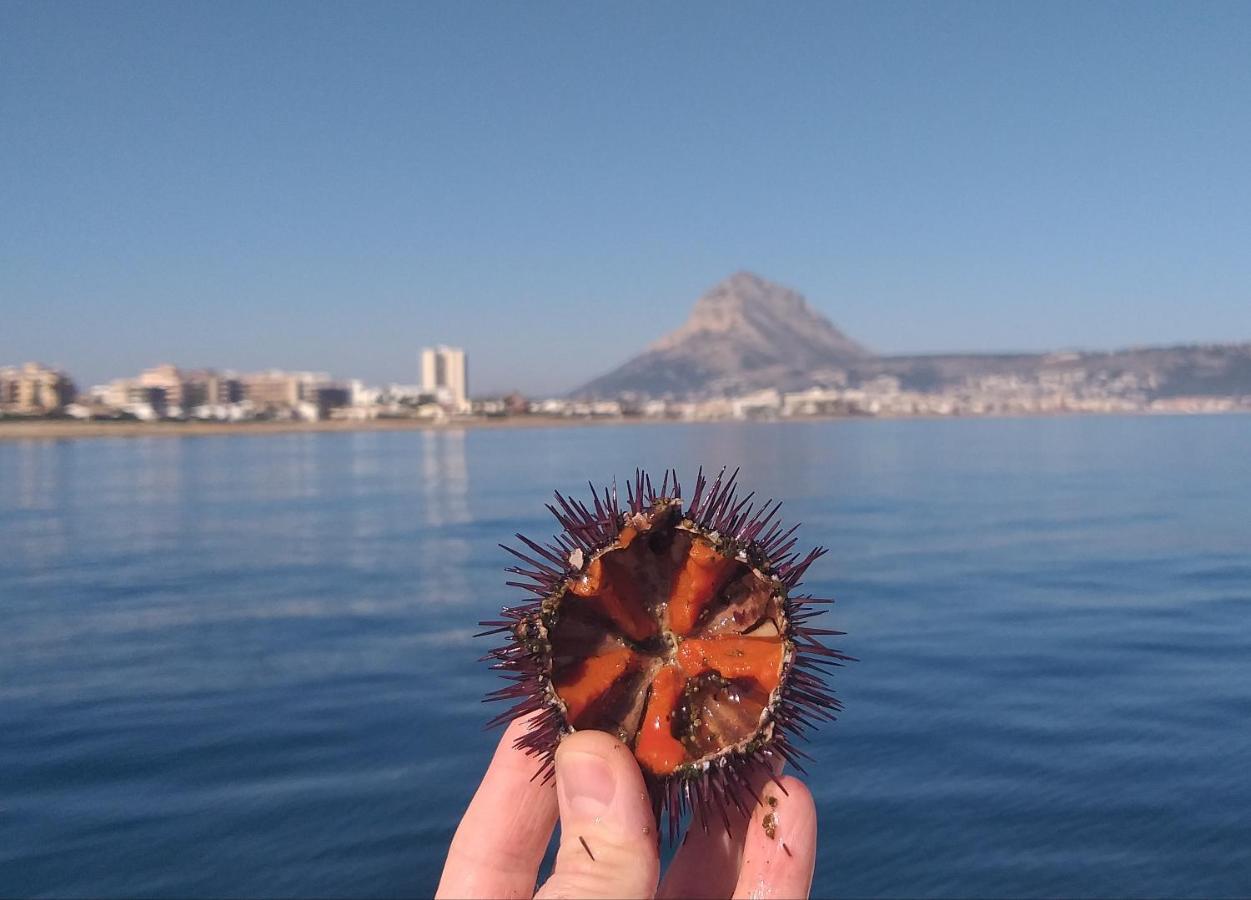 Junto Al Mar Lejlighed Jávea Eksteriør billede